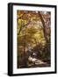 North Korea, Kumgang. Kumgang Mountains in Autumn.-Katie Garrod-Framed Photographic Print