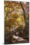 North Korea, Kumgang. Kumgang Mountains in Autumn.-Katie Garrod-Mounted Photographic Print