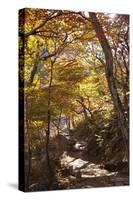 North Korea, Kumgang. Kumgang Mountains in Autumn.-Katie Garrod-Stretched Canvas