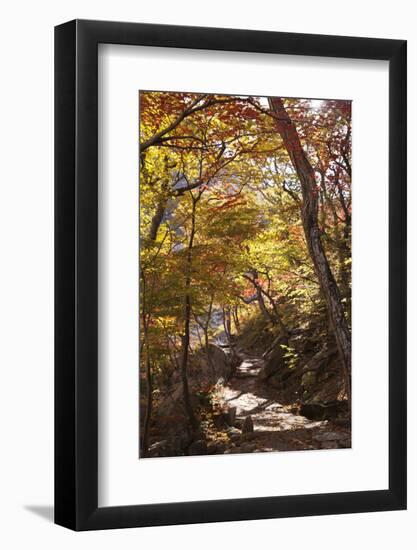 North Korea, Kumgang. Kumgang Mountains in Autumn.-Katie Garrod-Framed Photographic Print