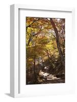 North Korea, Kumgang. Kumgang Mountains in Autumn.-Katie Garrod-Framed Photographic Print