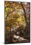 North Korea, Kumgang. Kumgang Mountains in Autumn.-Katie Garrod-Mounted Photographic Print