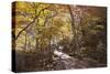 North Korea, Kumgang. Kumgang Mountains in Autumn.-Katie Garrod-Stretched Canvas