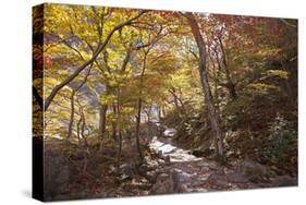 North Korea, Kumgang. Kumgang Mountains in Autumn.-Katie Garrod-Stretched Canvas