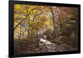 North Korea, Kumgang. Kumgang Mountains in Autumn.-Katie Garrod-Framed Photographic Print