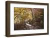 North Korea, Kumgang. Kumgang Mountains in Autumn.-Katie Garrod-Framed Photographic Print