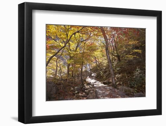 North Korea, Kumgang. Kumgang Mountains in Autumn.-Katie Garrod-Framed Photographic Print