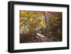 North Korea, Kumgang. Kumgang Mountains in Autumn.-Katie Garrod-Framed Photographic Print