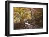 North Korea, Kumgang. Kumgang Mountains in Autumn.-Katie Garrod-Framed Photographic Print