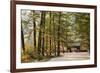 North Korea, Myohyang. Pohyon Temple, Located on the Slopes of the Myohyang Mountains-Katie Garrod-Framed Photographic Print