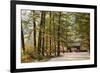 North Korea, Myohyang. Pohyon Temple, Located on the Slopes of the Myohyang Mountains-Katie Garrod-Framed Photographic Print