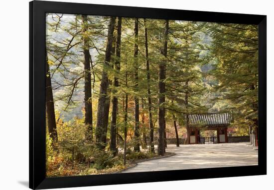 North Korea, Myohyang. Pohyon Temple, Located on the Slopes of the Myohyang Mountains-Katie Garrod-Framed Photographic Print