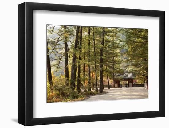 North Korea, Myohyang. Pohyon Temple, Located on the Slopes of the Myohyang Mountains-Katie Garrod-Framed Photographic Print