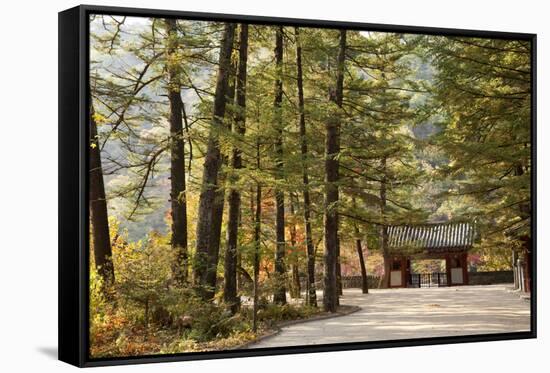 North Korea, Myohyang. Pohyon Temple, Located on the Slopes of the Myohyang Mountains-Katie Garrod-Framed Stretched Canvas