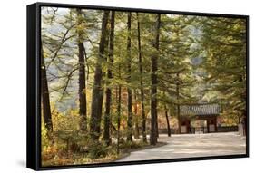 North Korea, Myohyang. Pohyon Temple, Located on the Slopes of the Myohyang Mountains-Katie Garrod-Framed Stretched Canvas