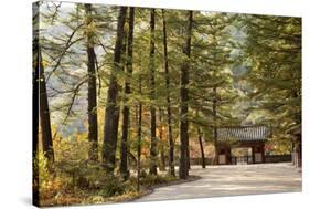 North Korea, Myohyang. Pohyon Temple, Located on the Slopes of the Myohyang Mountains-Katie Garrod-Stretched Canvas