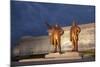 North Korea, Pyongyang. Bronze Statues of Kim Il Sung, Arm Out Pointing the Way Forward-Katie Garrod-Mounted Photographic Print