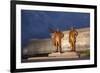 North Korea, Pyongyang. Bronze Statues of Kim Il Sung, Arm Out Pointing the Way Forward-Katie Garrod-Framed Photographic Print