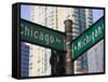 North Michigan Avenue and Chicago Avenue Signpost, the Magnificent Mile, Chicago, Illinois, USA-Amanda Hall-Framed Stretched Canvas