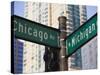 North Michigan Avenue and Chicago Avenue Signpost, the Magnificent Mile, Chicago, Illinois, USA-Amanda Hall-Stretched Canvas