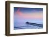 North Myrtle Beach, Cherry Grove Fishing Pier, South Carolina-John Coletti-Framed Photographic Print