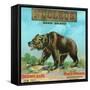 North Ontario, California, Nucleus Bear Brand Citrus Label-Lantern Press-Framed Stretched Canvas