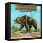 North Ontario, California, Nucleus Bear Brand Citrus Label-Lantern Press-Framed Stretched Canvas