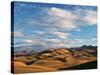 North Otago Landscape, South Island, New Zealand-David Wall-Stretched Canvas