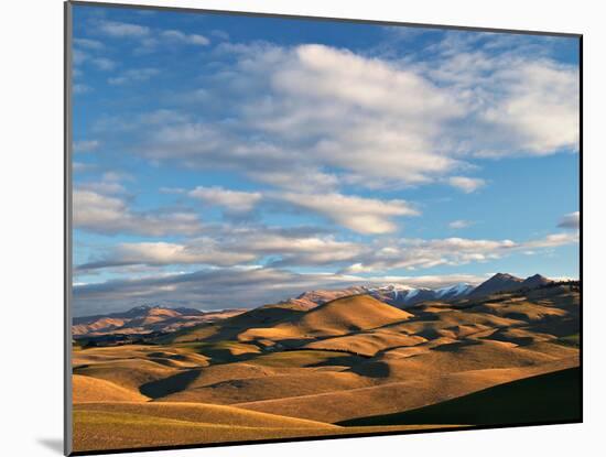 North Otago Landscape, South Island, New Zealand-David Wall-Mounted Premium Photographic Print