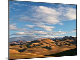 North Otago Landscape, South Island, New Zealand-David Wall-Mounted Premium Photographic Print