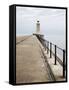 North Pier and Lighthouse, Tynemouth, North Tyneside, Tyne and Wear, England, United Kingdom, Europ-Mark Sunderland-Framed Stretched Canvas