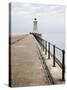 North Pier and Lighthouse, Tynemouth, North Tyneside, Tyne and Wear, England, United Kingdom, Europ-Mark Sunderland-Stretched Canvas