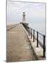 North Pier and Lighthouse, Tynemouth, North Tyneside, Tyne and Wear, England, United Kingdom, Europ-Mark Sunderland-Mounted Photographic Print