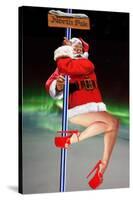 North Pole Dancer-Barry Kite-Stretched Canvas