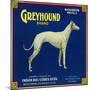 North Pomona, California, Greyhound Brand Citrus Label-Lantern Press-Mounted Art Print