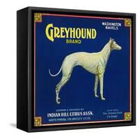 North Pomona, California, Greyhound Brand Citrus Label-Lantern Press-Framed Stretched Canvas