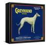 North Pomona, California, Greyhound Brand Citrus Label-Lantern Press-Framed Stretched Canvas