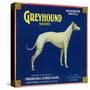 North Pomona, California, Greyhound Brand Citrus Label-Lantern Press-Stretched Canvas