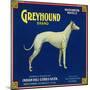 North Pomona, California, Greyhound Brand Citrus Label-Lantern Press-Mounted Art Print