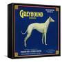 North Pomona, California, Greyhound Brand Citrus Label-Lantern Press-Framed Stretched Canvas