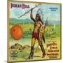 North Pomona, California, Indian-Hill Brand Citrus Label-Lantern Press-Mounted Art Print