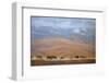 North Powder Cows-Todd Telander-Framed Giclee Print