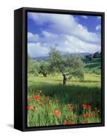 North Ronda, Andalucia, Spain-Peter Adams-Framed Stretched Canvas