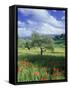 North Ronda, Andalucia, Spain-Peter Adams-Framed Stretched Canvas