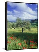 North Ronda, Andalucia, Spain-Peter Adams-Framed Stretched Canvas