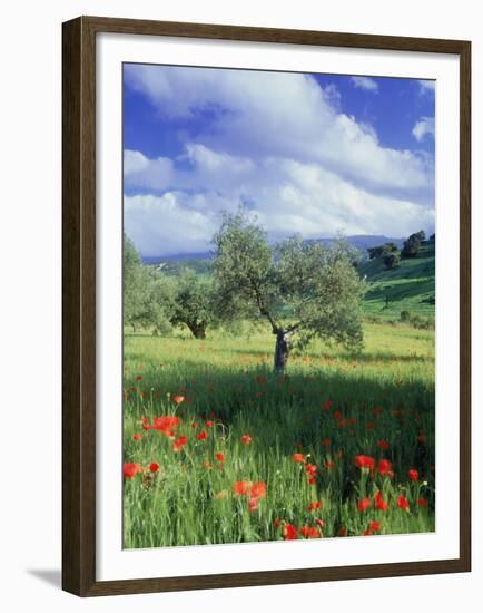 North Ronda, Andalucia, Spain-Peter Adams-Framed Premium Photographic Print