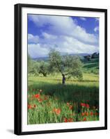 North Ronda, Andalucia, Spain-Peter Adams-Framed Premium Photographic Print