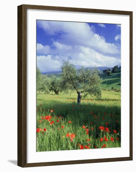 North Ronda, Andalucia, Spain-Peter Adams-Framed Premium Photographic Print