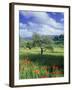 North Ronda, Andalucia, Spain-Peter Adams-Framed Premium Photographic Print