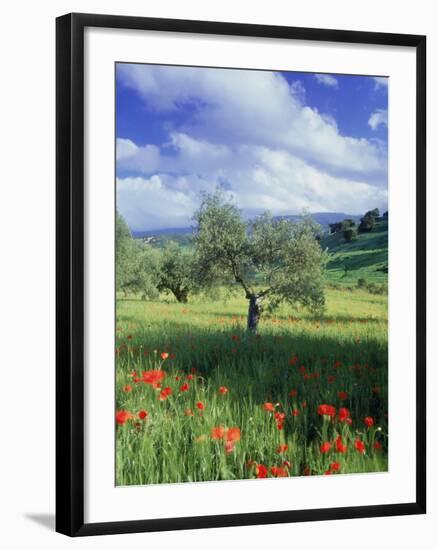 North Ronda, Andalucia, Spain-Peter Adams-Framed Premium Photographic Print